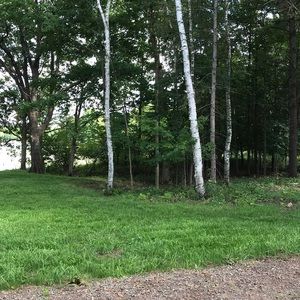 Meet your Posher, Nichole